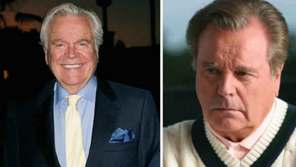 Robert Wagner net worth photo of the actor during his career peak