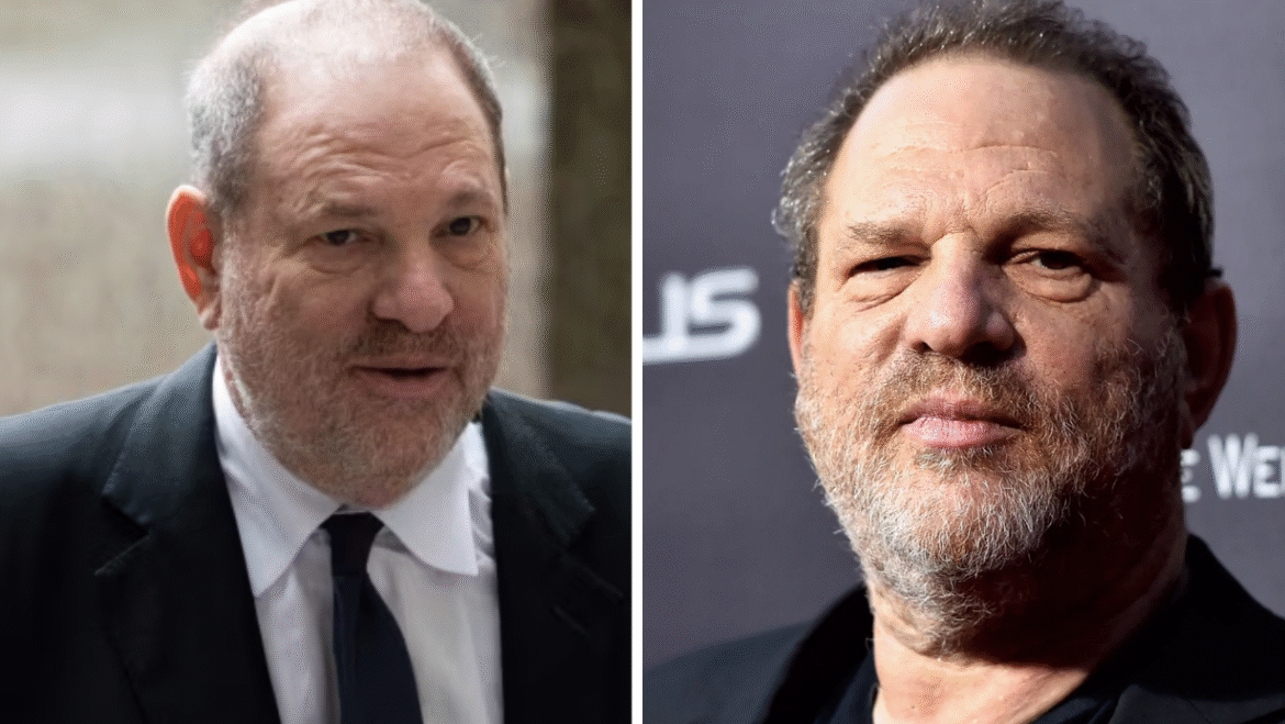 Harvey Weinstein net worth at career peak