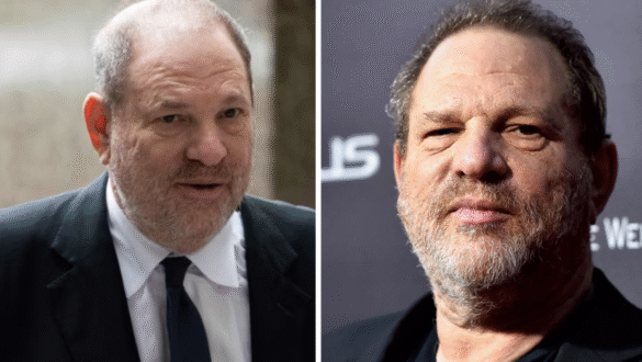 Harvey Weinstein net worth at career peak